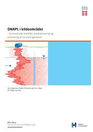 DNAPL i kildeområder - Danmarks Tekniske Universitet