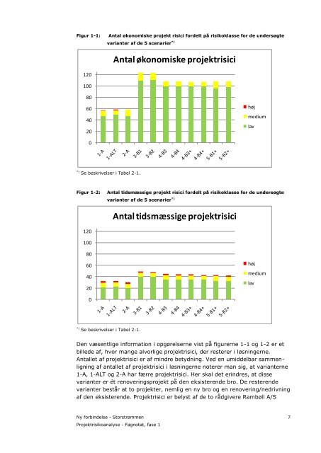 Fagnotat - Projektrisikoanalyse - Banedanmark