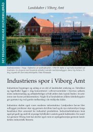 Industriens spor i Viborg Amt