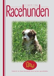 Racehunden 2008 Oktober - Dansk Racehunde Union