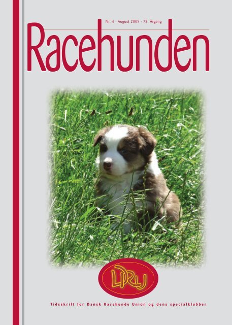 Racehunden 2008 - Dansk Racehunde Union
