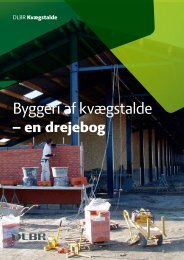 Byggeri af kvægstalde - en drejebog 2011 - DLBR