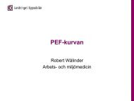 PEF-kurvan