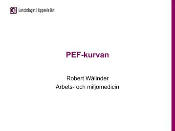 PEF-kurvan