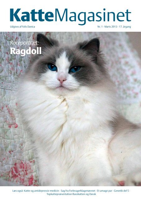 Ragdoll Jyrak