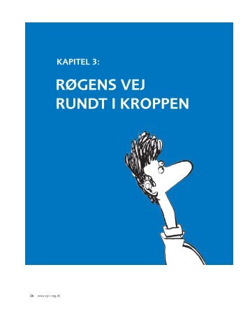 Kapitel 3 - Røgens vej rundt i kroppen - Gå op i røg