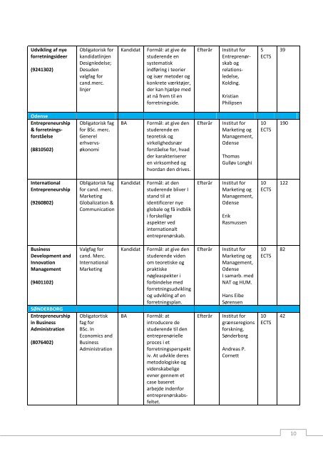 Entreprenørskabsfag ved Syddansk Universitet 2010 - Idea