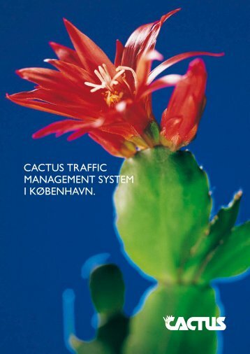 CACTUS TRAFFIC MANAGEMENT SYSTEM I KØBENHAVN.