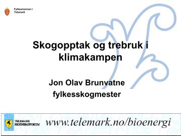 "Skogopptak og trebruk i klimakampen" av Jon Olav Brunvatne