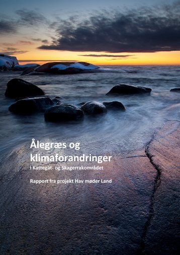 Ålegræs og klimaforandringer