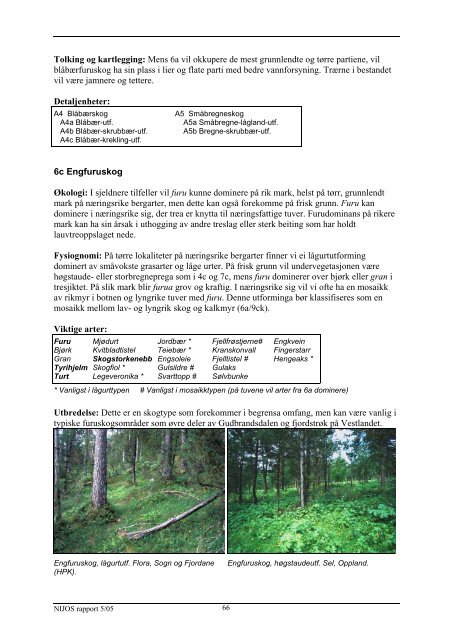 veiledning i vegetasjonskartlegging m 1 : 20 000 - Skog og landskap