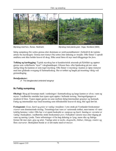 veiledning i vegetasjonskartlegging m 1 : 20 000 - Skog og landskap