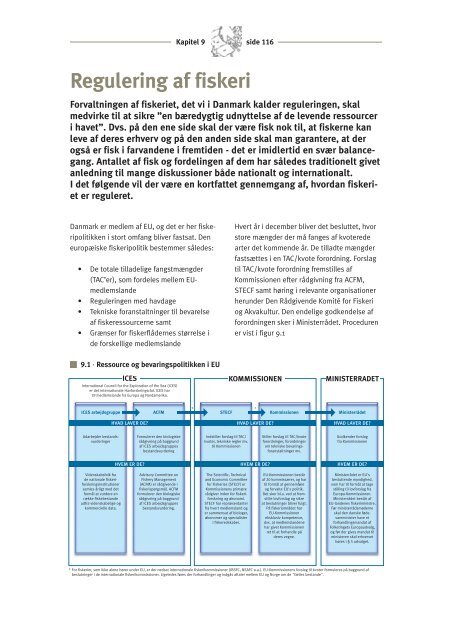 Kapitel 9 - Regulering af fiskeriet (pdf - 70 Kb) - Fiskericirklen