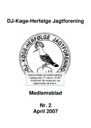 Medlemsblad 2007 nr 2 endelig.pdf - Køge - Herfølge Jagtforening