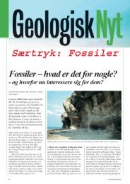 Fossiler - hvad er det for nogle?