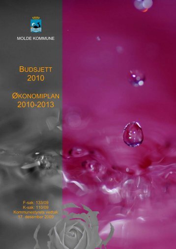Budsjett 2010 Økonomiplan 2010-2013