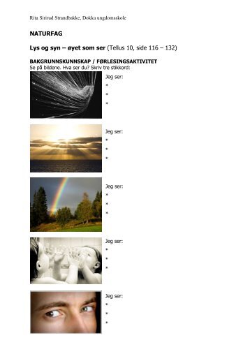 NATURFAG Lys og syn – øyet som ser (Tellus 10 ... - Skrivesenteret