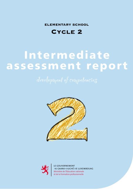 Intermediate assessment report