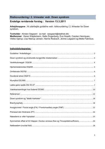 Risikovurdering i 2. trimester vedr. Downs syndrom - DFMS