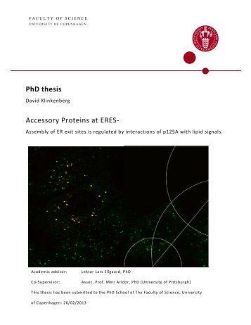 PhD thesis Accessory Proteins at ERES-