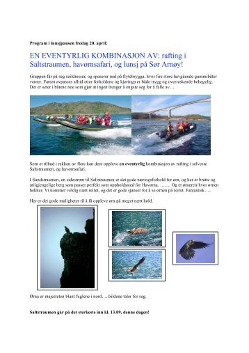 rafting i Saltstraumen, havørnsafari, og lunsj på Sør Arnøy!