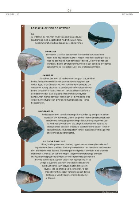 Kapitel 10 - Iltsvind - Fiskericirklen
