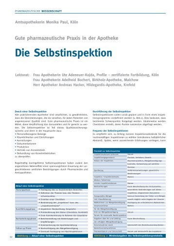 Die Selbstinspektion