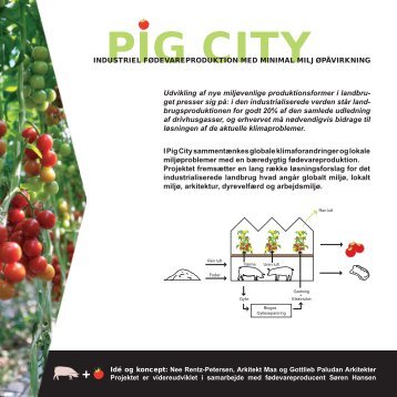Pig City - Industriel fødevareproduktion med minimal ... - Cowi