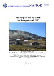 Feltrapport fra rejsen til Nordøstgrønland 2005 - Xsirius