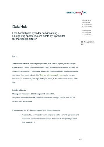 DataHub - Ninas blog - Energinet.dk