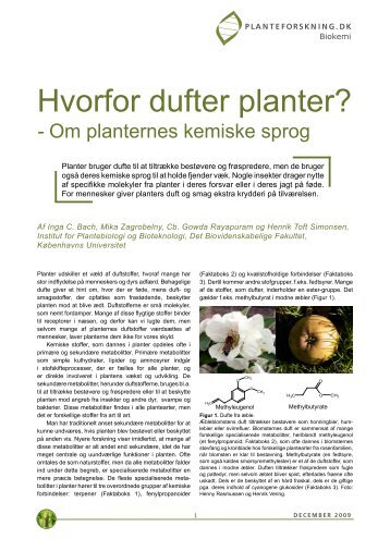 Hvorfor dufter planter? - Om planternes - Planteforskning