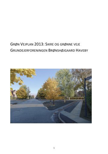 Bestyrelsens forslag til helhedsplan for sikre og grønne veje