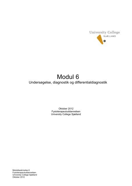 Download modulbeskrivelsen - University College Sjælland
