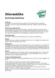 Olieræddike - Hunsballe Frø A/S