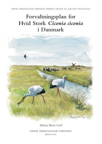 Forvaltningsplan for Hvid Stork - Dansk Ornitologisk Forening