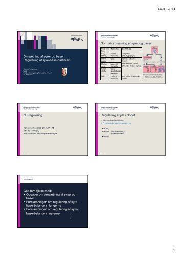 Omsætning af syrer og baser gyg Regulering af syre-base ... - bionord