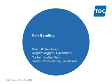 6. Pair Bonding - TDC