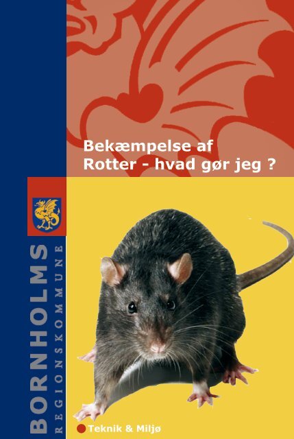Bekæmpelse af Rotter - hvad gør jeg ?