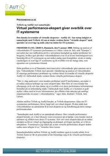 Virtuel performance-ekspert giver overblik over IT-systemerne