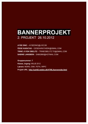 rapport i pdf format