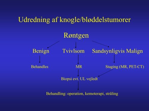 Tumore 2013 - MRprofessor.dk