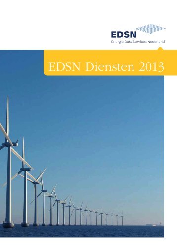 EDSN Diensten 2013