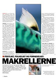 Makrellerne kommer. - Bo Troelsen