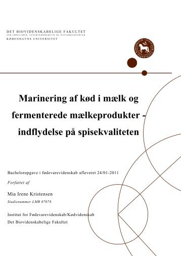 Marinering af kød i mælk og fermenterede ... - Foodfan.dk