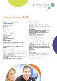 Jordbrugsteknolog Hest