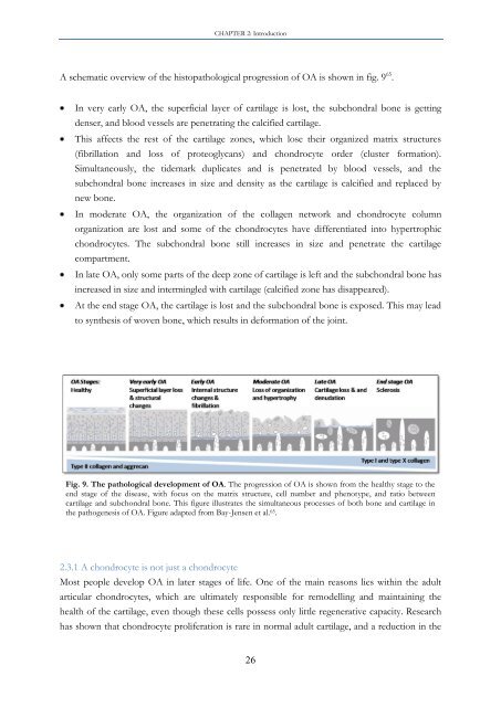 Identification of important interactions between subchondral bone ...