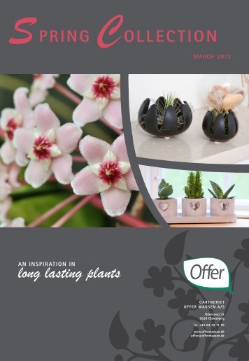 long lasting plants - Gartneriet Offer Madsen A/S