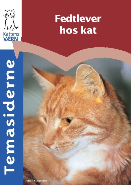 Katten 2-2000 - Kattens Værn