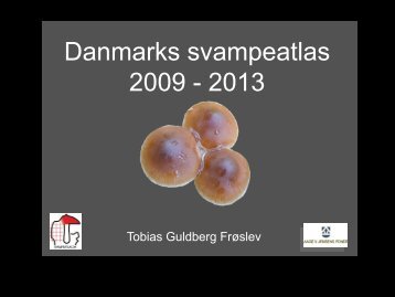 Danmarks svampeatlas 2009 - 2013
