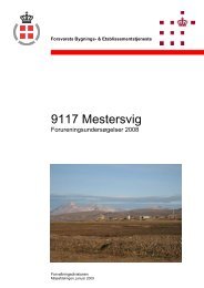 9117 Mestersvig - Black Diamond Consulting